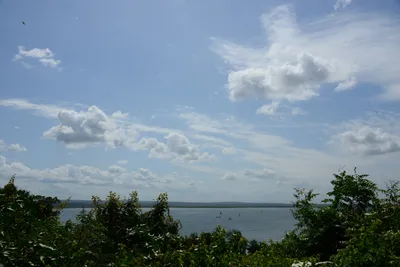 DSC_9159 (Large).JPG